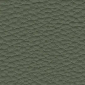 Amostra 2067 Olive