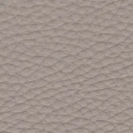 Amostra 2089 Fendi
