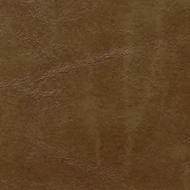 Amostra 425 Malibu Caramel